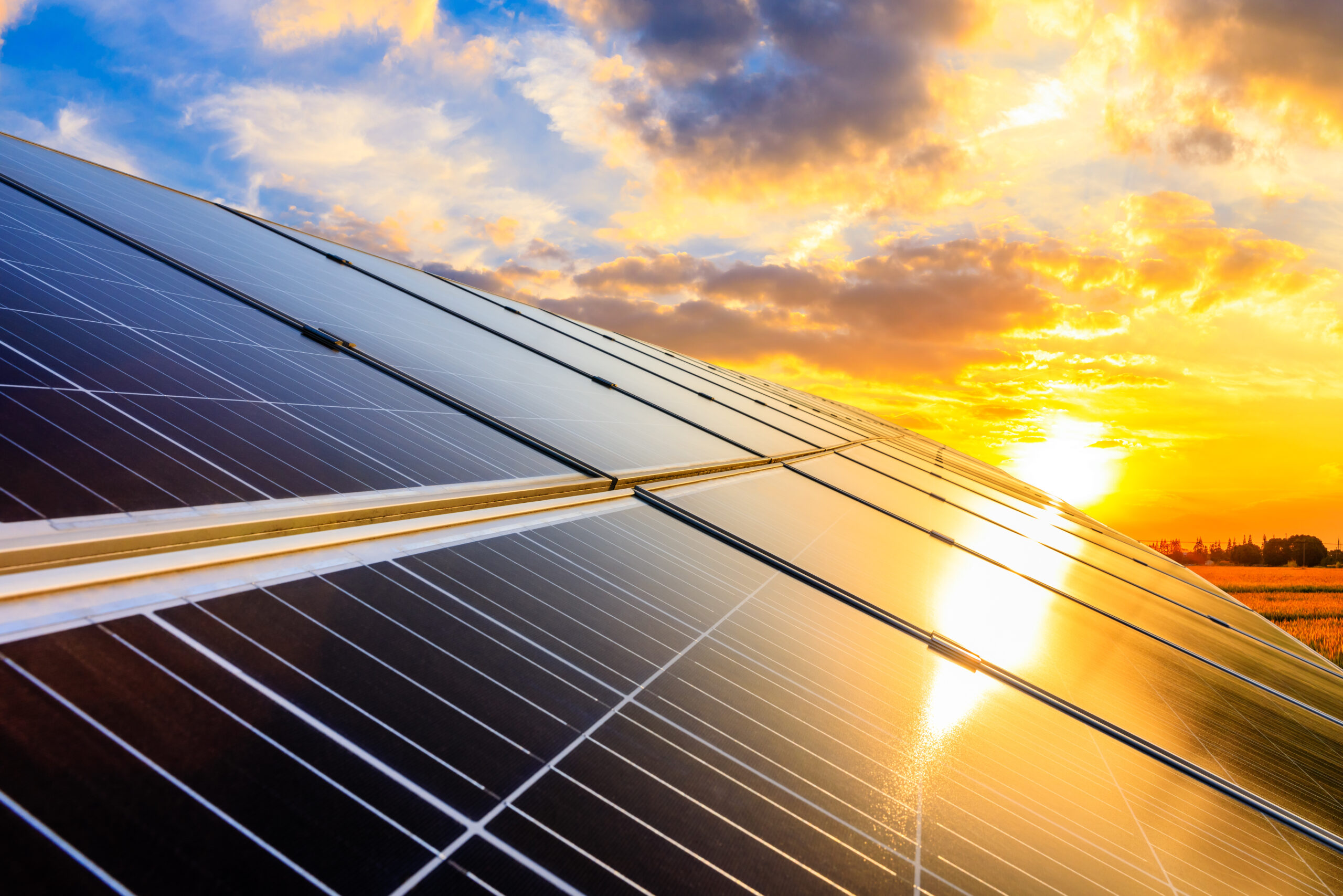 Photovoltaic solar panels on sunset